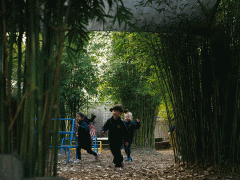 DSCF9952.gif